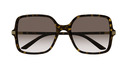 Havana Sunglasses Gucci 889652438993