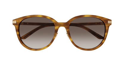 Havana Sunglasses Gucci 889652440996