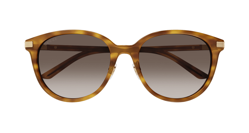 Havana Sunglasses Gucci 889652440996