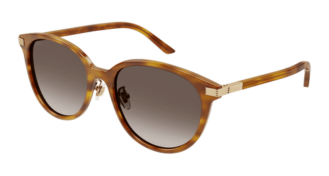 Havana Sunglasses Gucci 889652440996