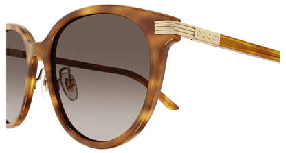 Havana Sunglasses Gucci 889652440996