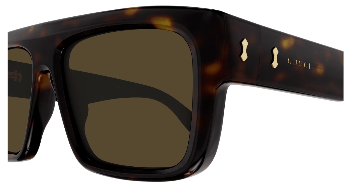 Havana Sunglasses Gucci 889652438894