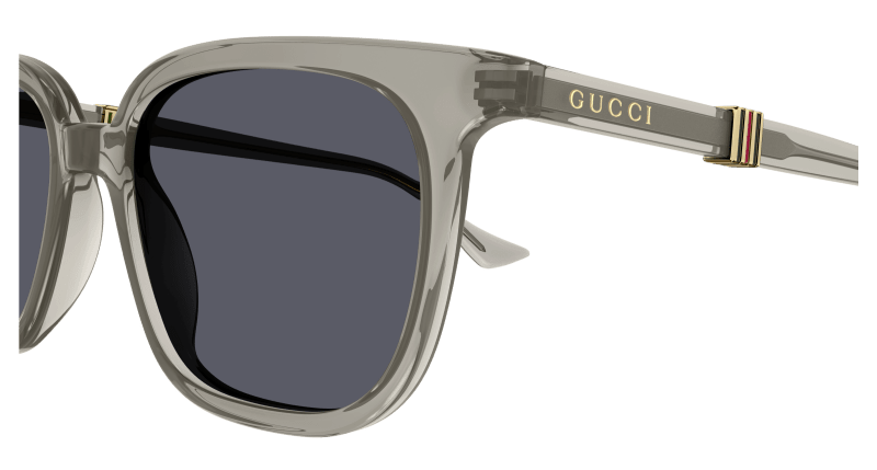 Brown Sunglasses Gucci 889652470825