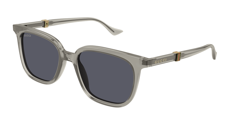 Brown Sunglasses Gucci 889652470825