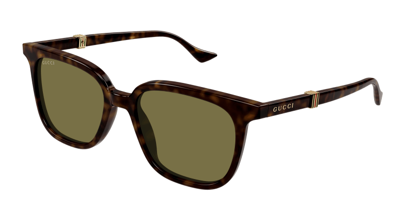 Havana Sunglasses Gucci 889652470818