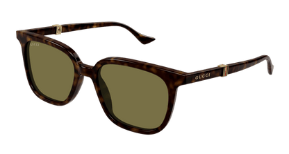 Havana Sunglasses Gucci 889652470818