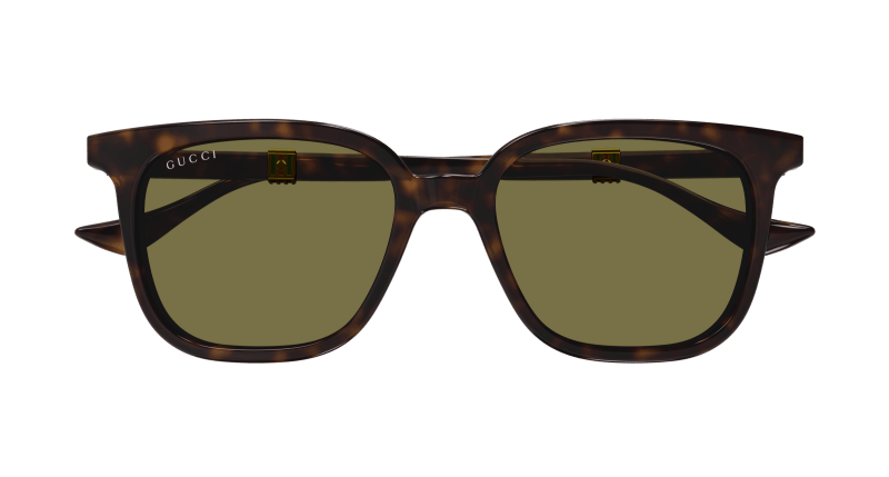 Havana Sunglasses Gucci 889652470818