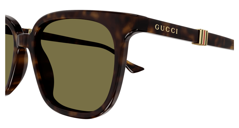 Havana Sunglasses Gucci 889652470818