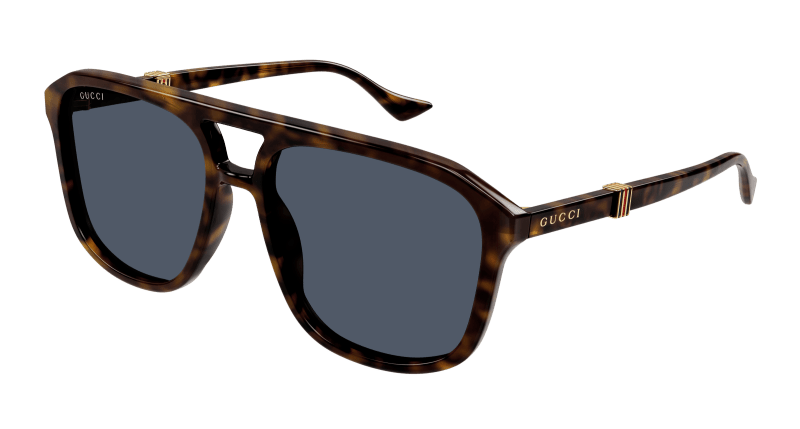 Havana Sunglasses Gucci 889652470764
