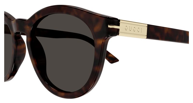 Havana Sunglasses Gucci 889652469911