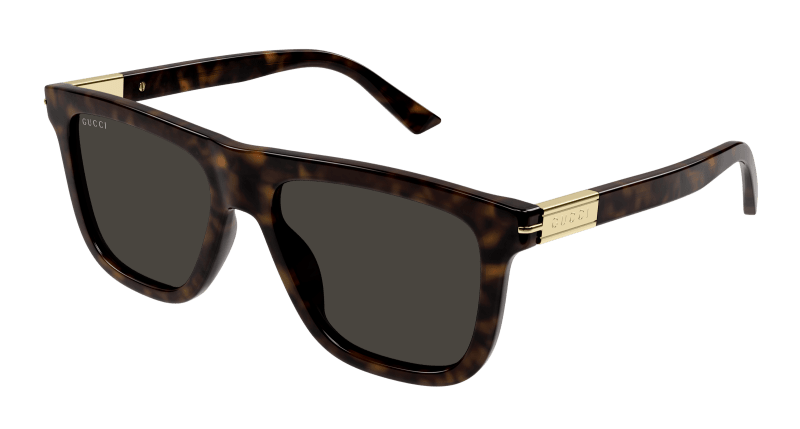 Havana Sunglasses Gucci 889652469959