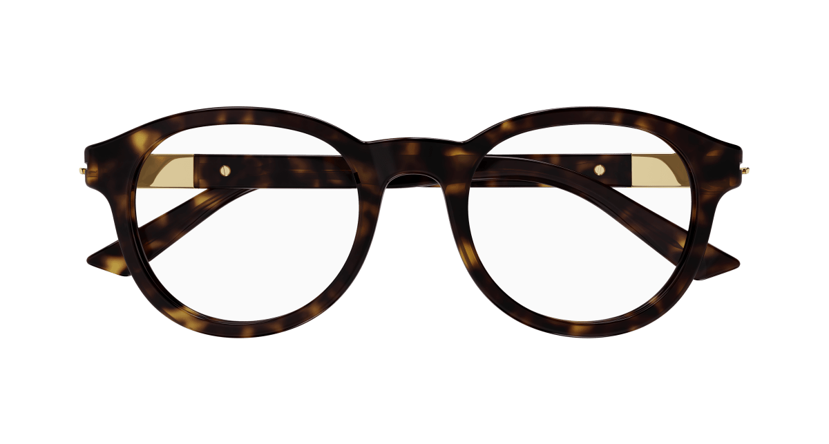 Gucci GG1503O Havana 889652469997