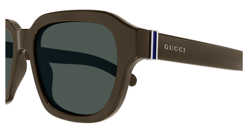 Brown Sunglasses Gucci 889652470344