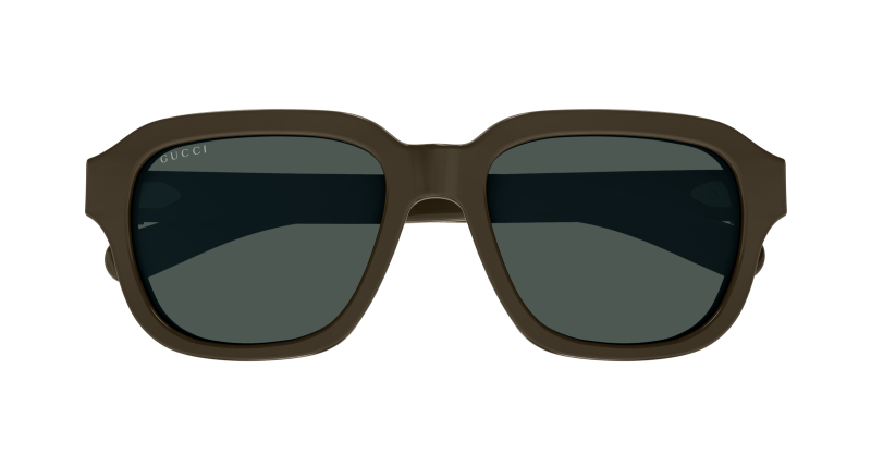 Brown Sunglasses Gucci 889652470344