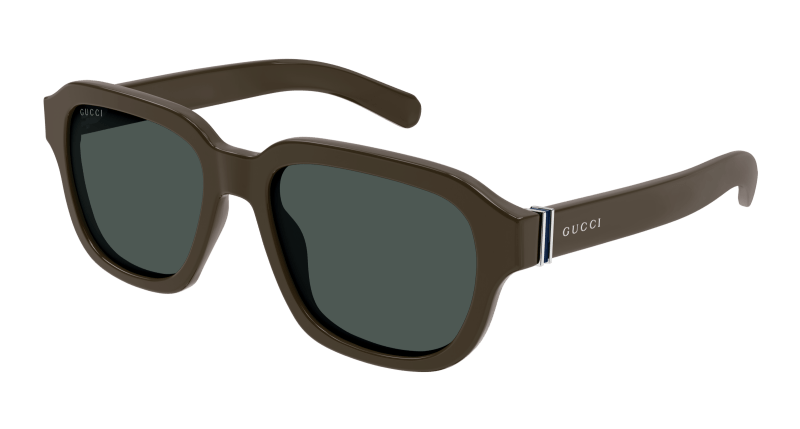 Brown Sunglasses Gucci 889652470344