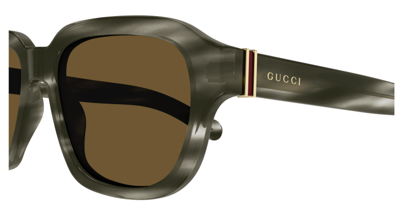 Havana Sunglasses Gucci 889652470337