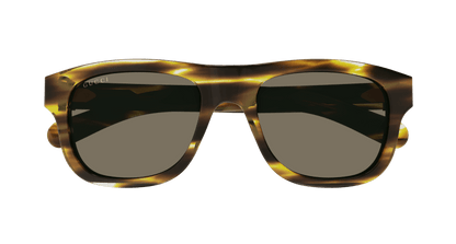 Havana Sunglasses Gucci 889652470405