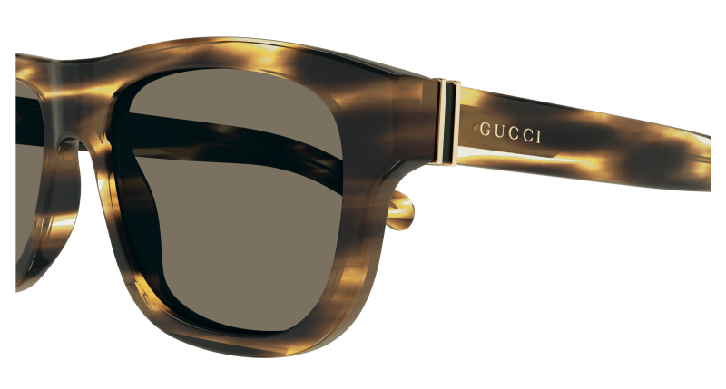 Havana Sunglasses Gucci 889652470405