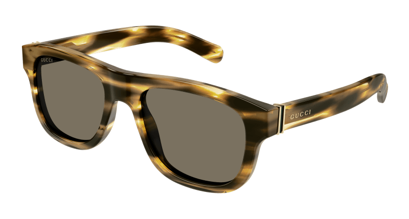 Havana Sunglasses Gucci 889652470405