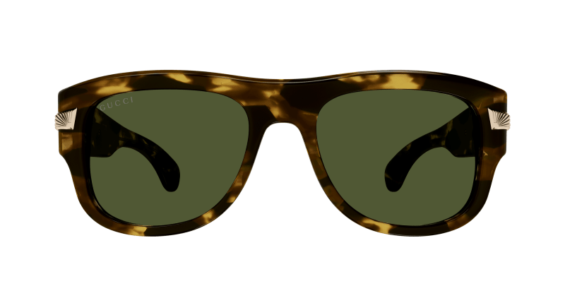 Havana Sunglasses Gucci 889652470573