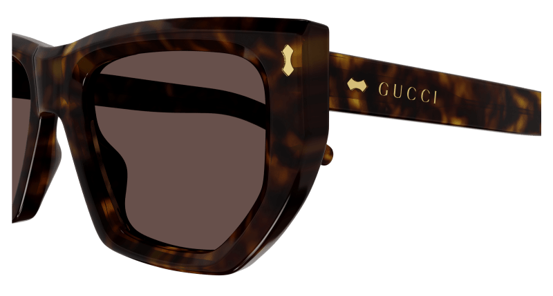 Havana Sunglasses Gucci 889652467542