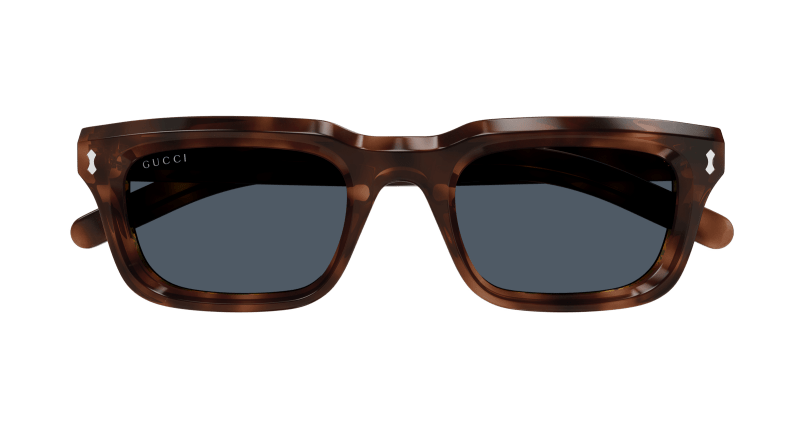 Havana Sunglasses Gucci 889652467375