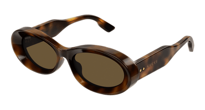 Havana Sunglasses Gucci 889652467115