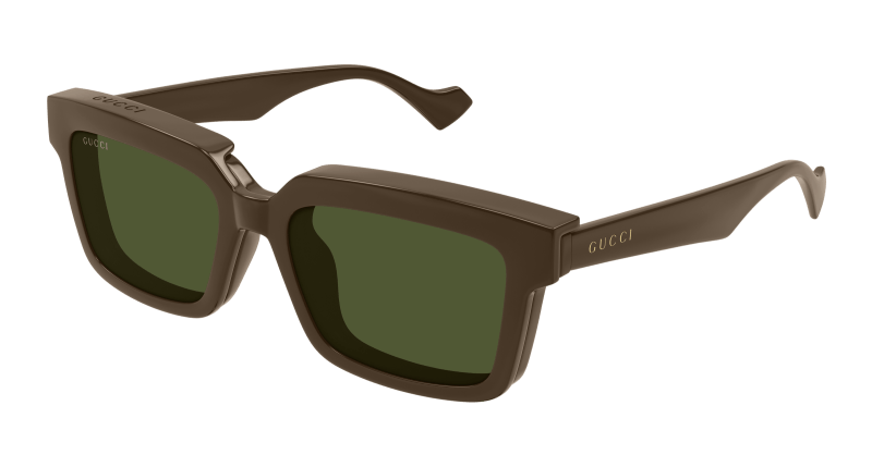 Brown Sunglasses Gucci 889652468143