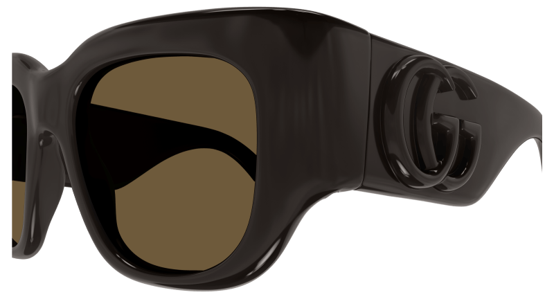 Brown Sunglasses Gucci 889652467207