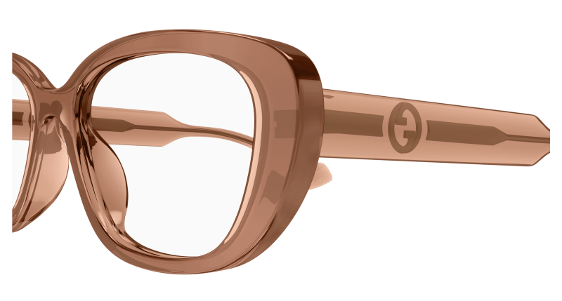 Brown Eyeglasses Gucci 889652473109