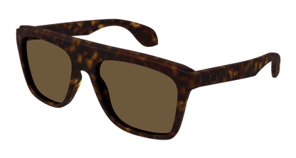 Havana Sunglasses Gucci 889652469034