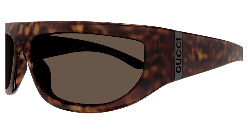 Havana Sunglasses Gucci 889652468853
