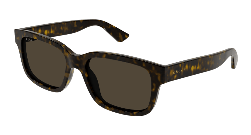 Havana Sunglasses Gucci 889652468952