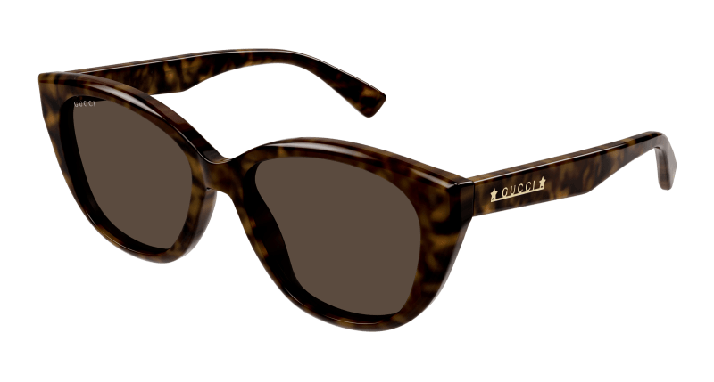 Havana Sunglasses Gucci 889652467917