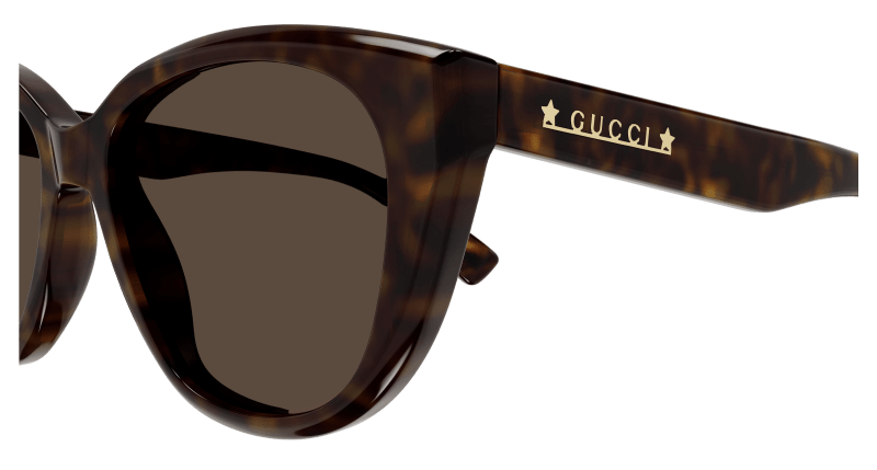 Havana Sunglasses Gucci 889652467917