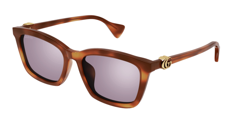 Havana Sunglasses Gucci 889652472836