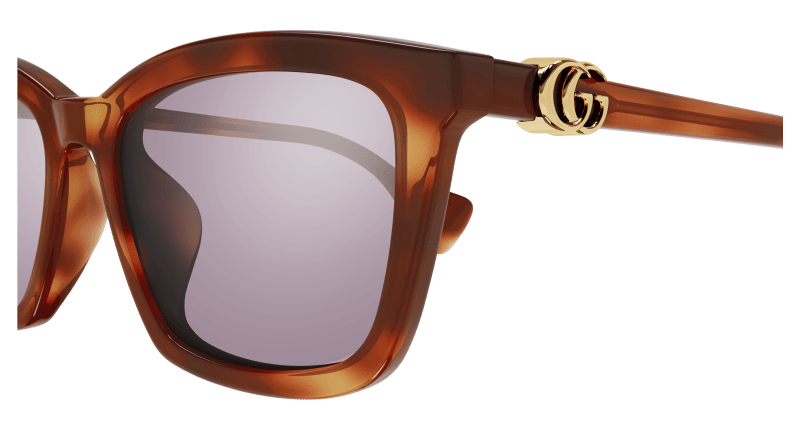 Havana Sunglasses Gucci 889652472836