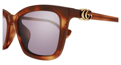 Havana Sunglasses Gucci 889652472836