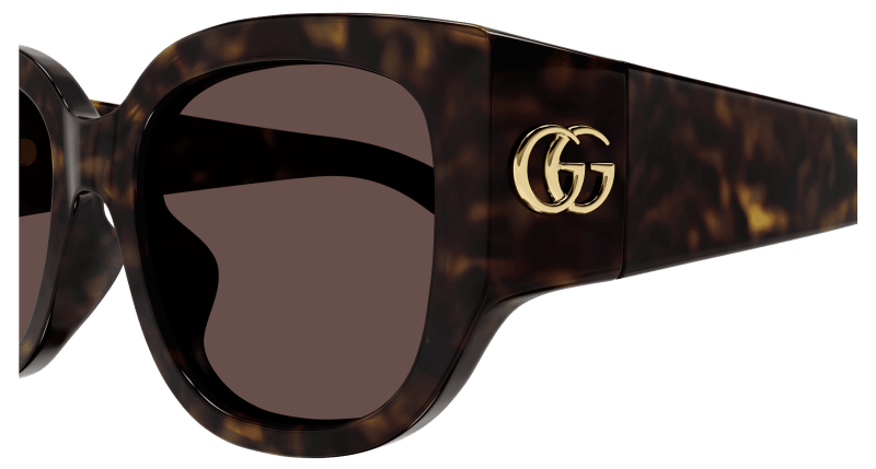 Havana Sunglasses Gucci 889652473376