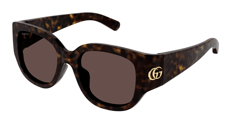 Havana Sunglasses Gucci 889652473376