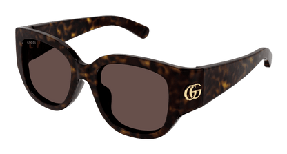 Havana Sunglasses Gucci 889652473376
