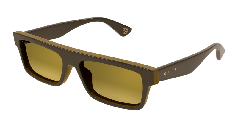 Brown Sunglasses Gucci 889652473901