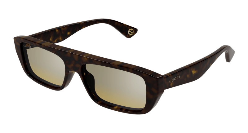 Havana Sunglasses Gucci 889652473932