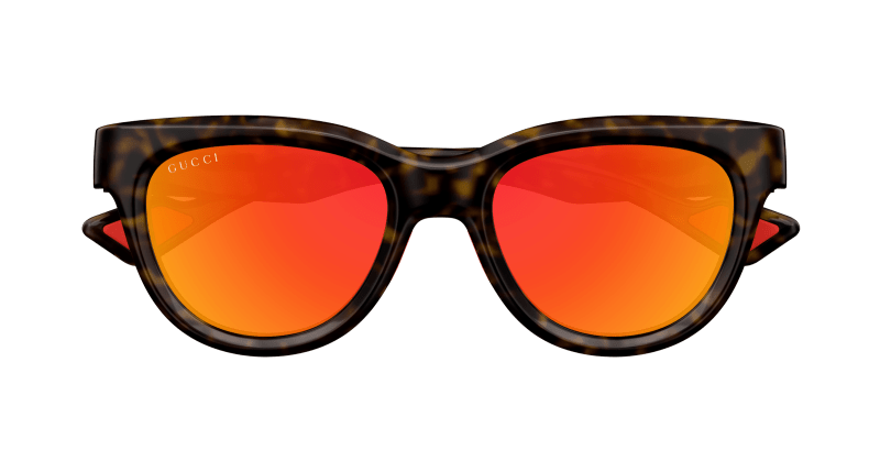 Havana Sunglasses Gucci 889652473994