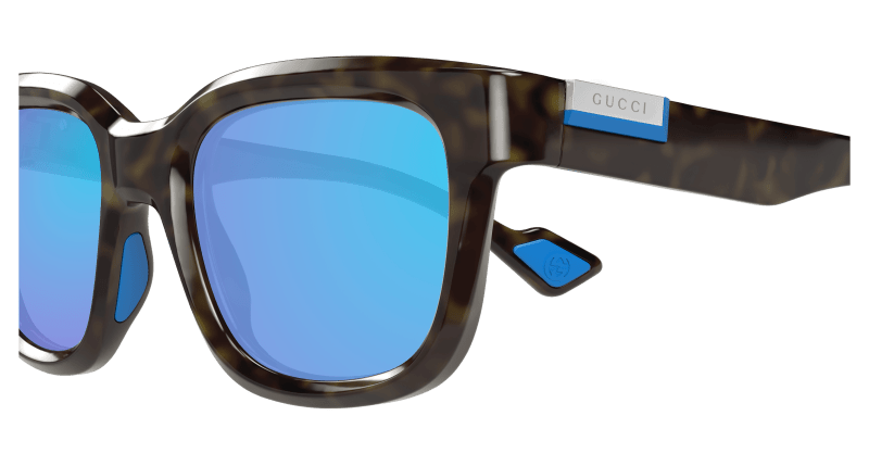 Havana Sunglasses Gucci 889652474021