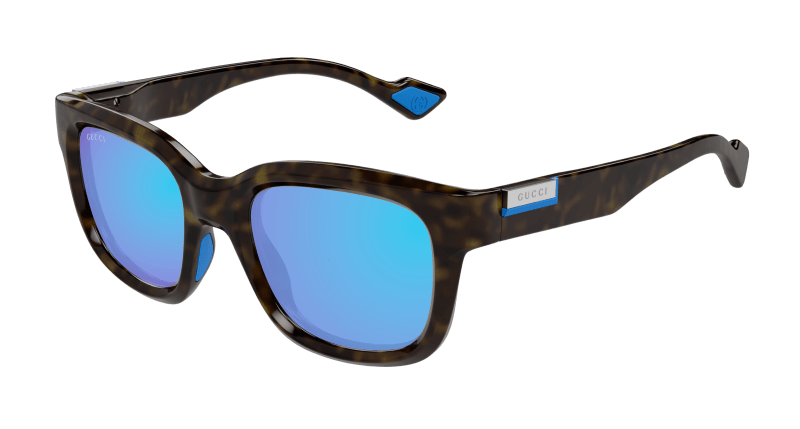 Havana Sunglasses Gucci 889652474021