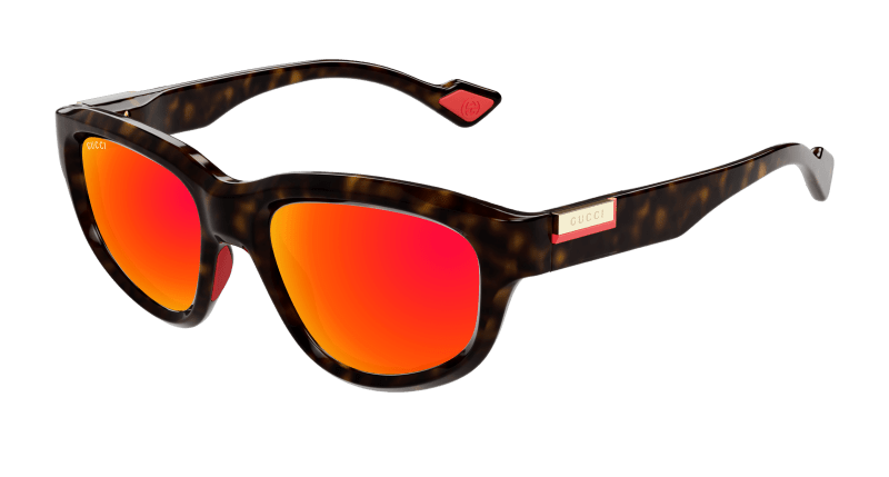 Havana Sunglasses Gucci 889652474489