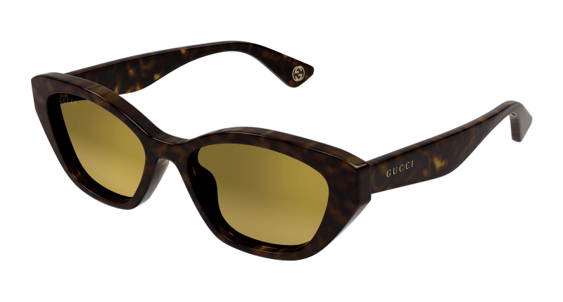 Havana Sunglasses Gucci 889652475950