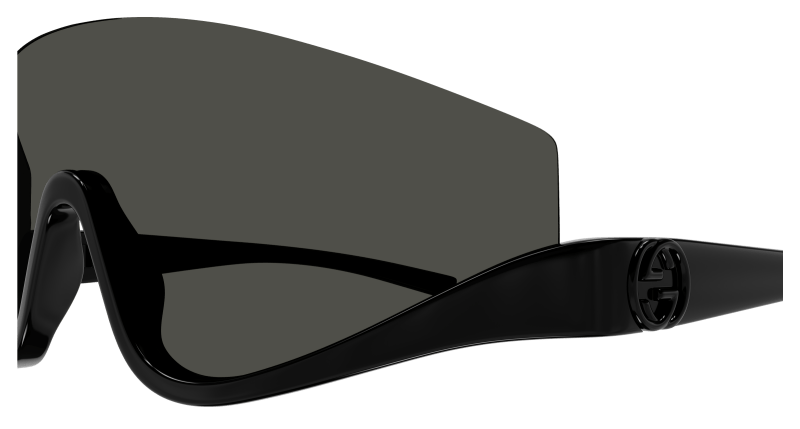 Sunglasses Gucci 889652489902