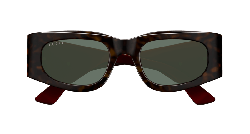 Havana Sunglasses Gucci 889652498003